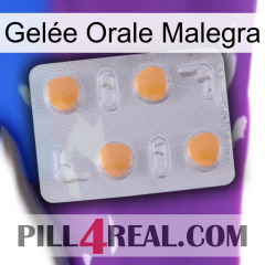 Gelée Orale Malegra 24